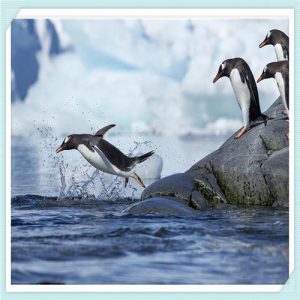 一学期结束了简短感言（一学期结束了简短感言小学）-华海博客