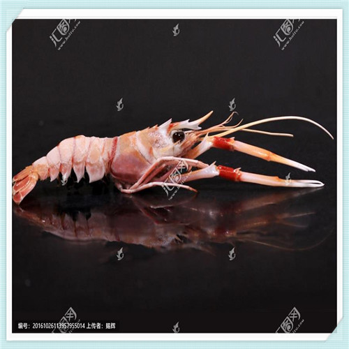 我有最强肉身（我有最强肉身 小说）