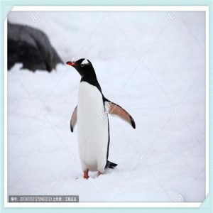 韩国后雪美白系列用着黑（韩国后雪美白系列怎么样）-华海博客