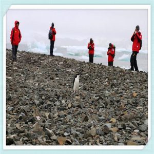 我已经11岁了英语（我已经11岁了英语怎么说）-华海博客