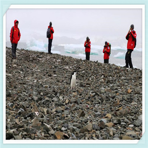 我已经11岁了英语（我已经11岁了英语怎么说）