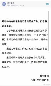 苏宁债务预计什么时候还清（苏宁集团已偿还员工借款本金的1% 力争在2022年6月30日前全部还完）-华海博客