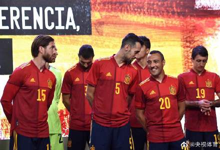 欧洲杯还有几个球队（已有十支球队晋级2020欧洲杯正赛）