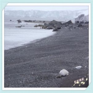 唐山市玉田县未来发展怎么样（玉田县县城未来发展）-华海博客