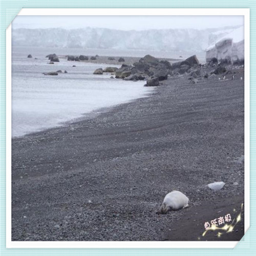 唐山市玉田县未来发展怎么样（玉田县县城未来发展）