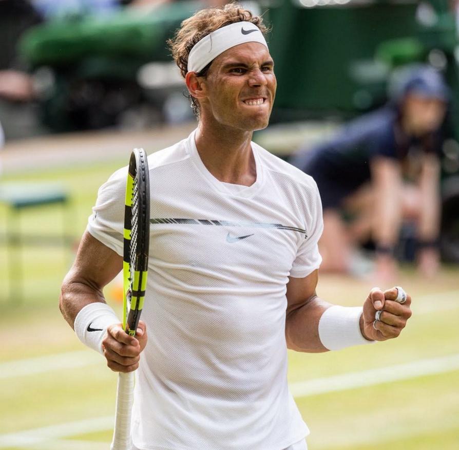 wilsonhammer系列（网球拍品牌汇总）