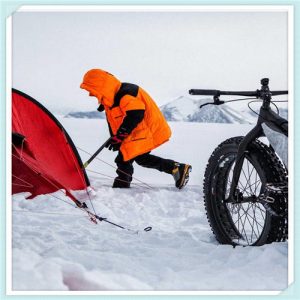 新手如何养好一只猫(如何才能养好一只猫)-华海博客