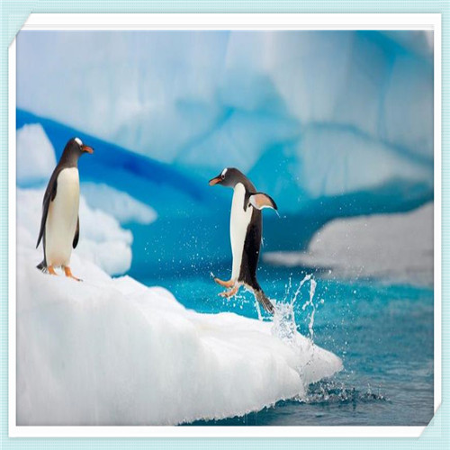 客厅卧室门效果图大全（卧室门开在客厅的装修效果图）