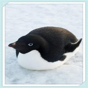 腾讯外包公司要不要去（广州腾讯外包公司要不要去）-华海博客