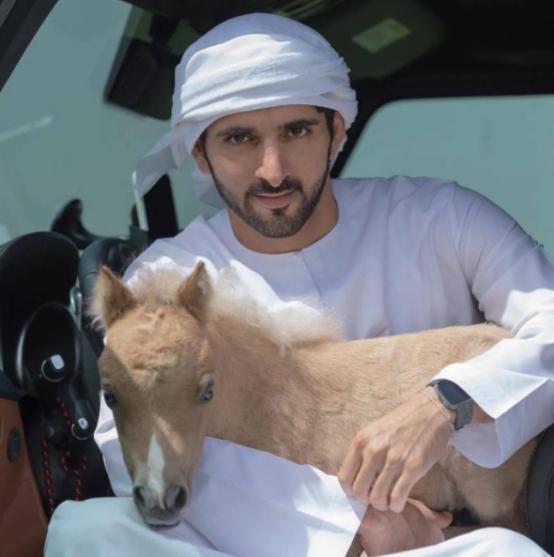 拉希德迪拜王子（迪拜“废太子”拉希德：昔日模范王子，为何惨在33岁离奇身亡？）