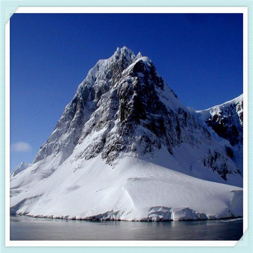 最新丰田suv新车(最新丰田suv新车图片)