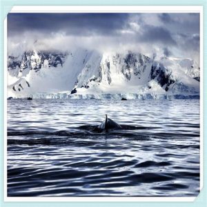 冠珠瓷砖的优点与卖点（冠珠瓷砖的优点与卖点话术）-华海博客