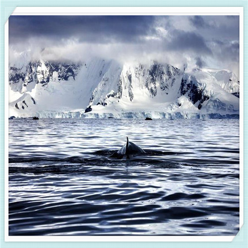 冠珠瓷砖的优点与卖点（冠珠瓷砖的优点与卖点话术）