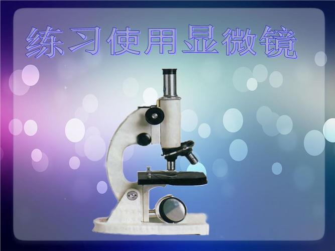 显微镜的使用方法