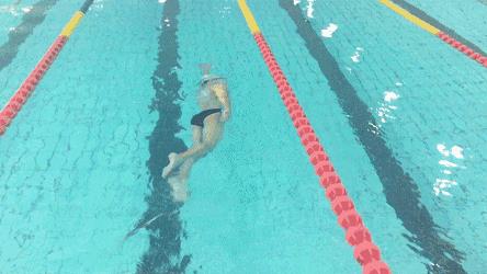 游泳是最好的运动吗（游泳是最为健康的运动，连医生都推荐，这就是原因）