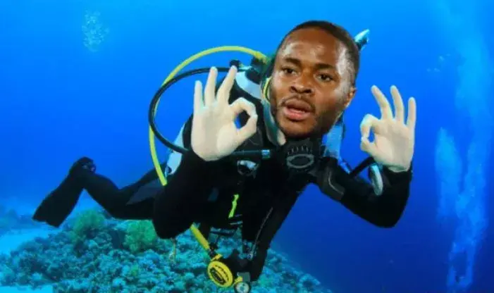 跳水的英文是什么意思(不管英格兰队是否假摔,你都不能不会这单词:dive(跳水;假摔))