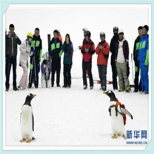 奥迪怎么样（奥迪怎么样好不好）-华海博客