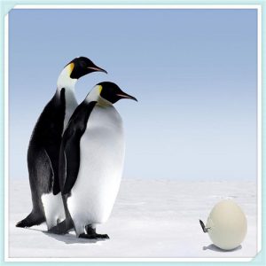 信阳淮滨县怎么样（淮滨县发展怎么样）-华海博客