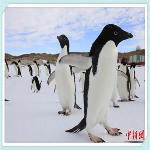 胶州拘留所谁进去过怎么样（因为打架进去拘留所会怎么样）-华海博客