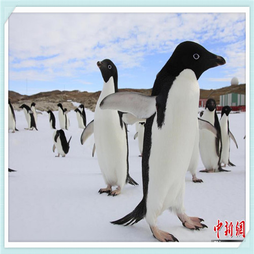 胶州拘留所谁进去过怎么样（因为打架进去拘留所会怎么样）