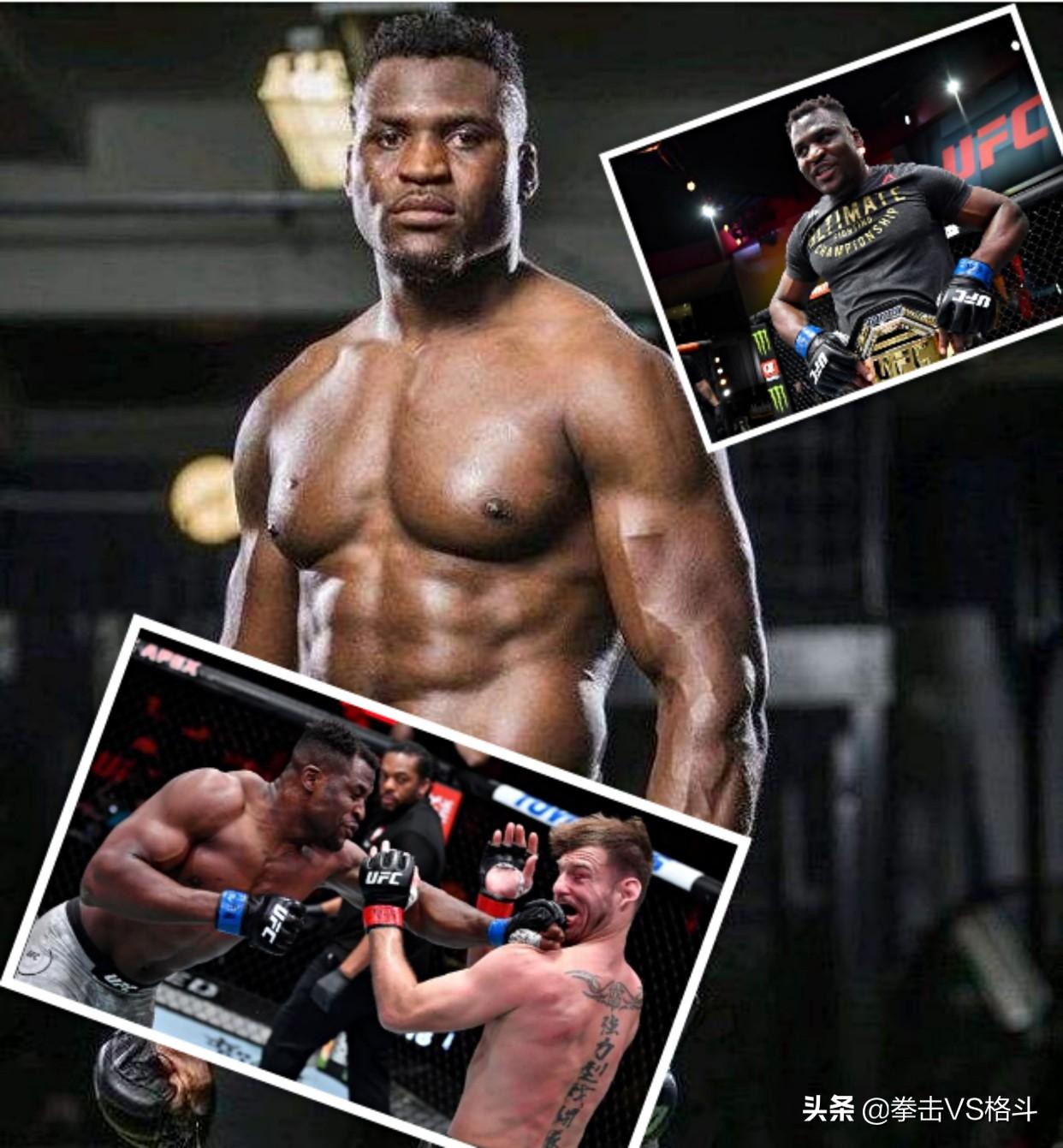 历届ufc冠军名单（UFC近十年来重量级冠军“小菊”、“岳父”、“黑球”、等）