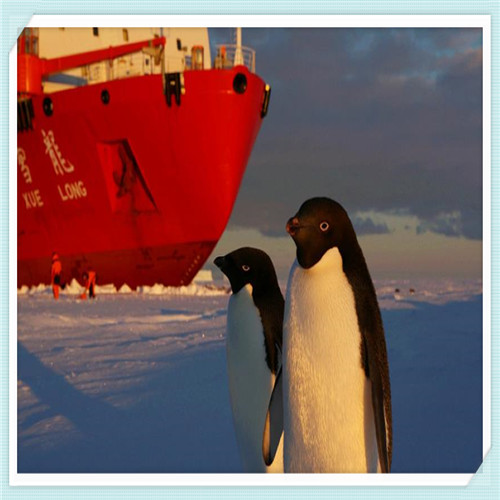 最走心的图片(最走心的图片微信头像)