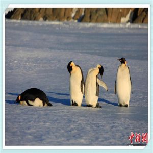 三妆化妆品怎么样（三妆化研化妆品怎么样）-华海博客