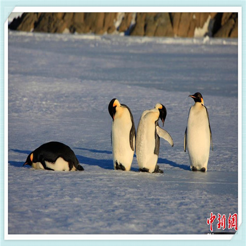 三妆化妆品怎么样（三妆化研化妆品怎么样）