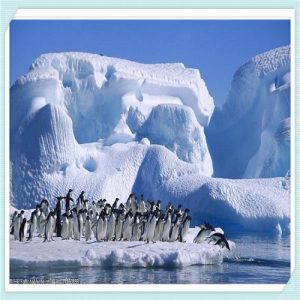 茶学专业就业薪酬（茶学专业就业薪酬大专）-华海博客