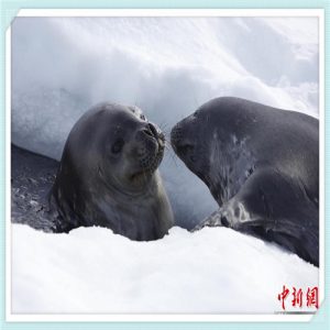 哲名字的寓意怎么样（杨宇哲名字的寓意怎么样）-华海博客