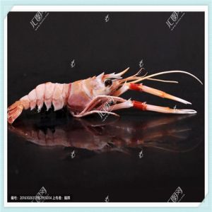 女士高档长款半身裙（女士高档长款半身裙过膝）-华海博客