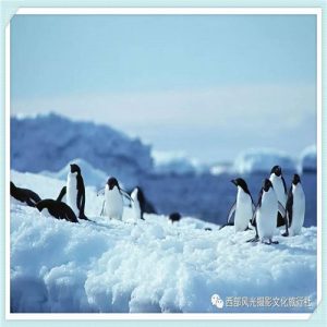 新感觉快递怎么样（新感觉内衣怎么样）-华海博客