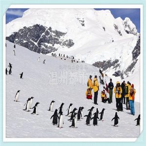 恒大人寿理财安全吗（恒大人寿理财产品安全吗）-华海博客