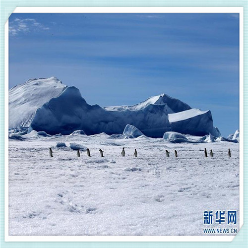 辅仁的药质量怎么样（辅仁药业的药怎么样）