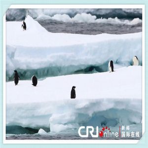 allomorph语言学定义（Allomorph语言学英语定义）-华海博客