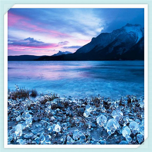 包菜的吉祥寓意(包菜的象征寓意)