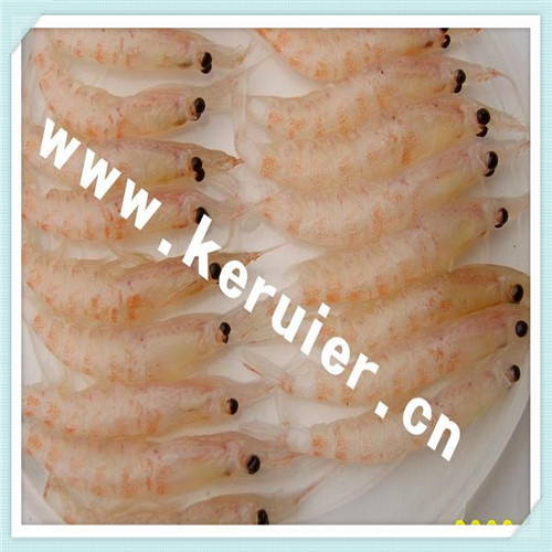 什么心什么胆（什么心什么胆四字成语）