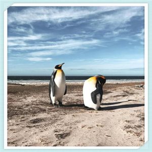 深圳户口为何不值钱（深圳户口是不是不值钱）-华海博客