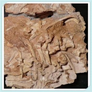 英语阿卡索的老师靠谱吗（阿卡索英语怎么样）-华海博客