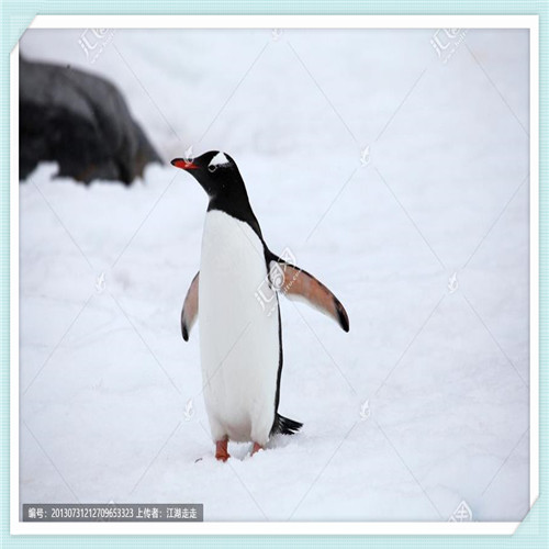 纽仕兰牛奶为什么便宜(兰雀牛奶为什么便宜)