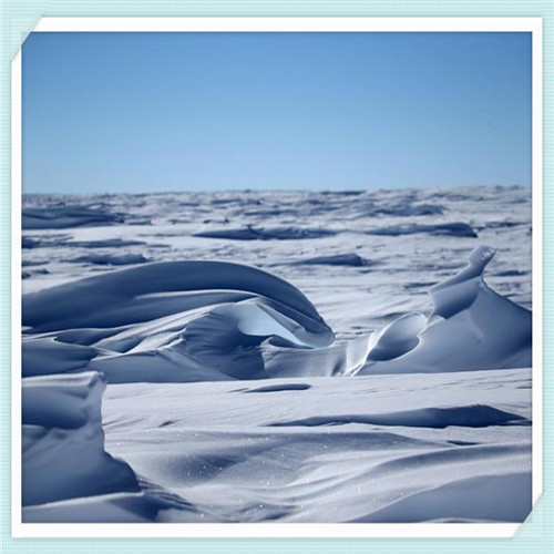 帕莎有镜片吗（帕莎有近视镜片吗）