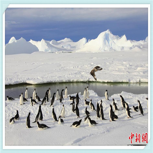 阳泉的经济水平怎么样（山西阳泉经济怎么样）