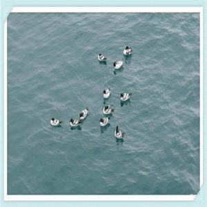 屈臣氏好用的护肤品（屈臣氏口碑好的护肤品有哪些）-华海博客