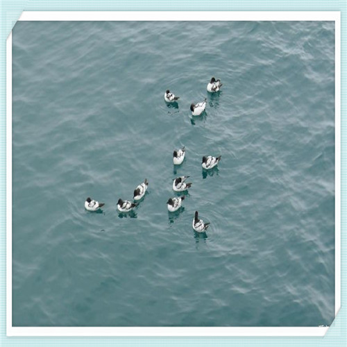 屈臣氏好用的护肤品（屈臣氏口碑好的护肤品有哪些）