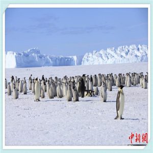 皇后的秘密蓝色面膜（皇后的秘密蓝色面膜敷多久）-华海博客