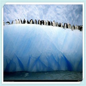 食品级的洗洁精哪个牌子的好（食品级洗洁精哪个牌子好）-华海博客