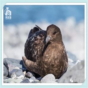 四大工艺美术职业学院哪个好（全国四大工艺美术职业学院）-华海博客