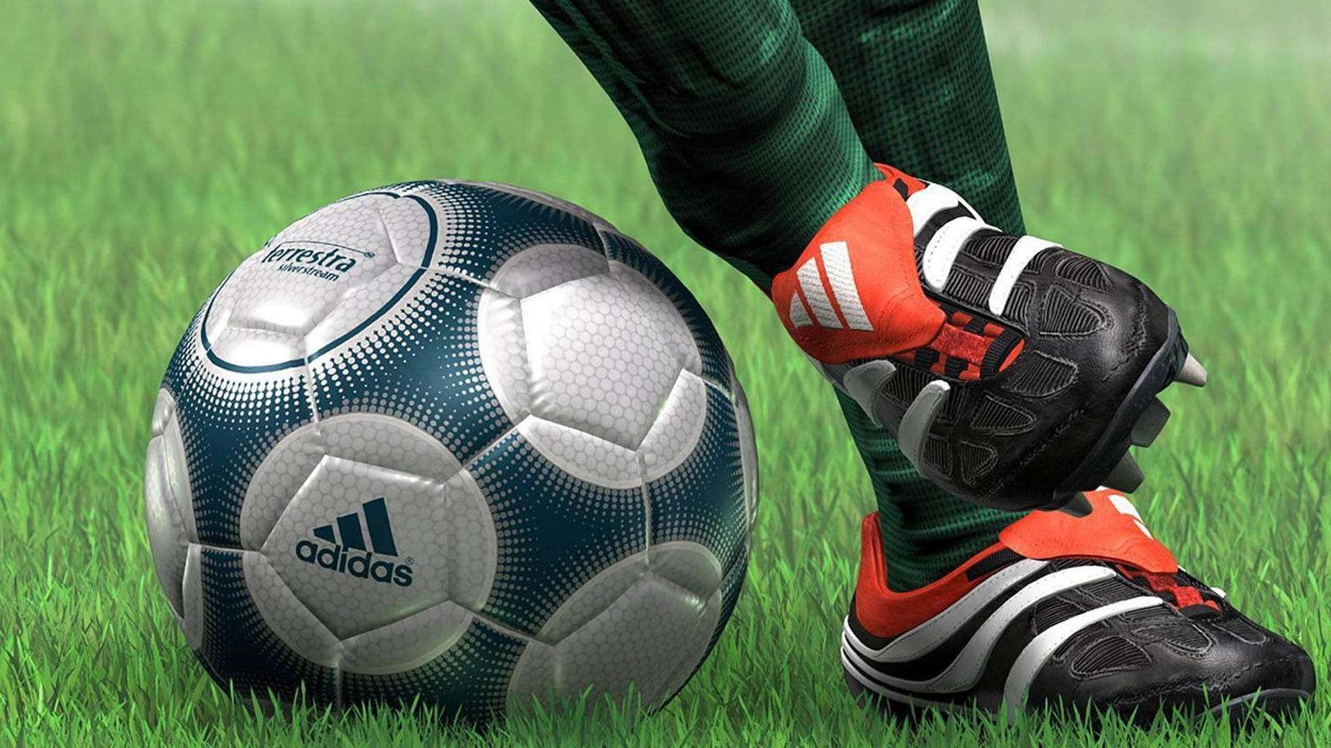 室内足球几号球（标准足球的种类识别）