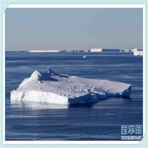 椿木和榉木家具哪个好（乌金木和榉木家具哪个好）-华海博客