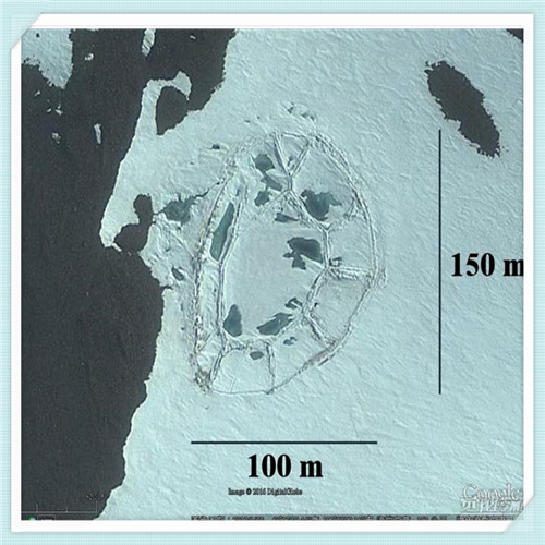 东风日产的发动机（东风日产的发动机是哪里生产的）